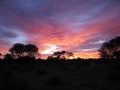 Solnedgang i outback