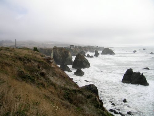 IMG_6674.jpg