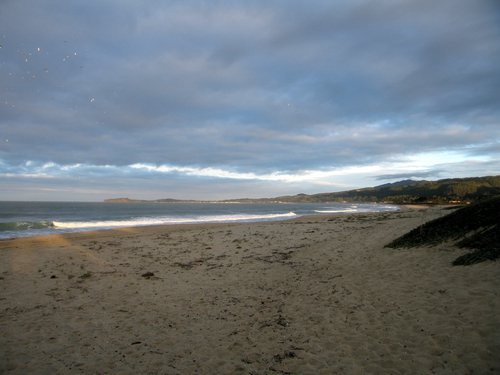 IMG_6706.jpg