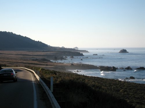 IMG_6726.jpg