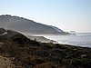 IMG_6711.jpg