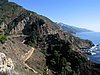 IMG_6716.jpg
