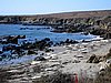 IMG_6728.jpg