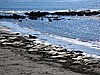 IMG_6729.jpg