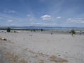 Mono Lake, hvor der ogsaa findes Ikaitter